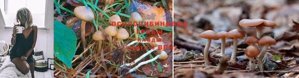 амф Киренск