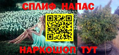 ALPHA PVP Балашиха