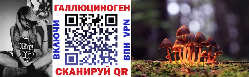Галлюциногенные грибы MAGIC MUSHROOMS  дарнет шоп  Новомосковск 