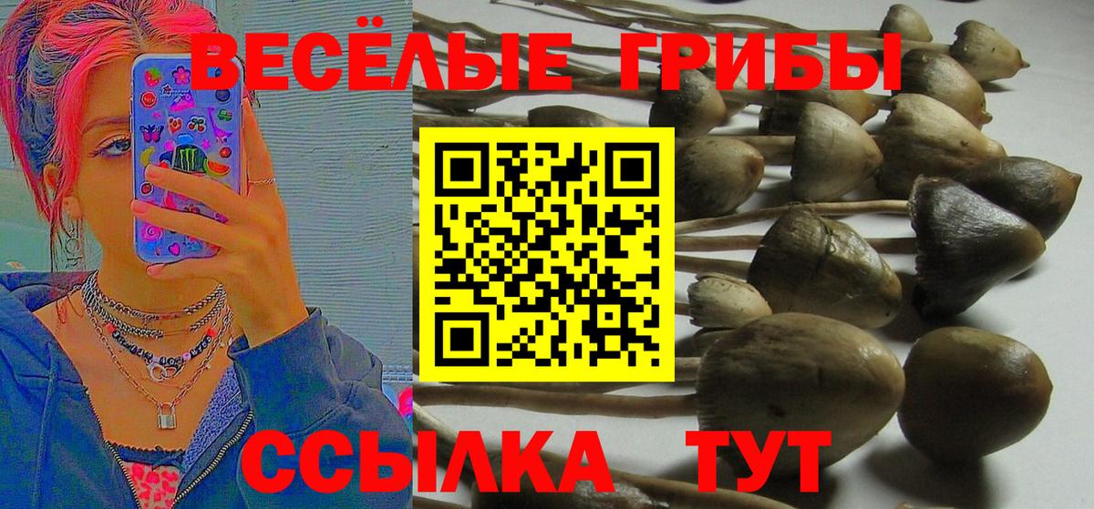 Псилоцибиновые грибы Psilocybe  Галлюциногенные грибы Magic Shrooms  Новомосковск 