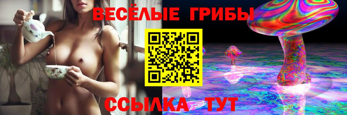 Псилоцибиновые грибы Psilocybine cubensis  Галлюциногенные грибы GOLDEN TEACHER  Новомосковск  Вход с VPN 