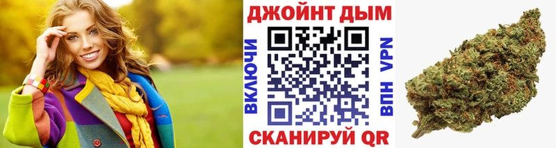 дарнет шоп  Новомосковск  Конопля сатива 